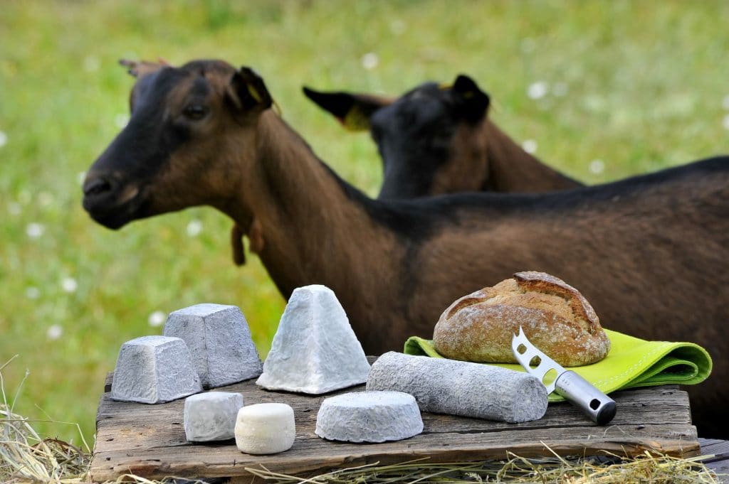 Fromages de Chèvres du Val de Loire