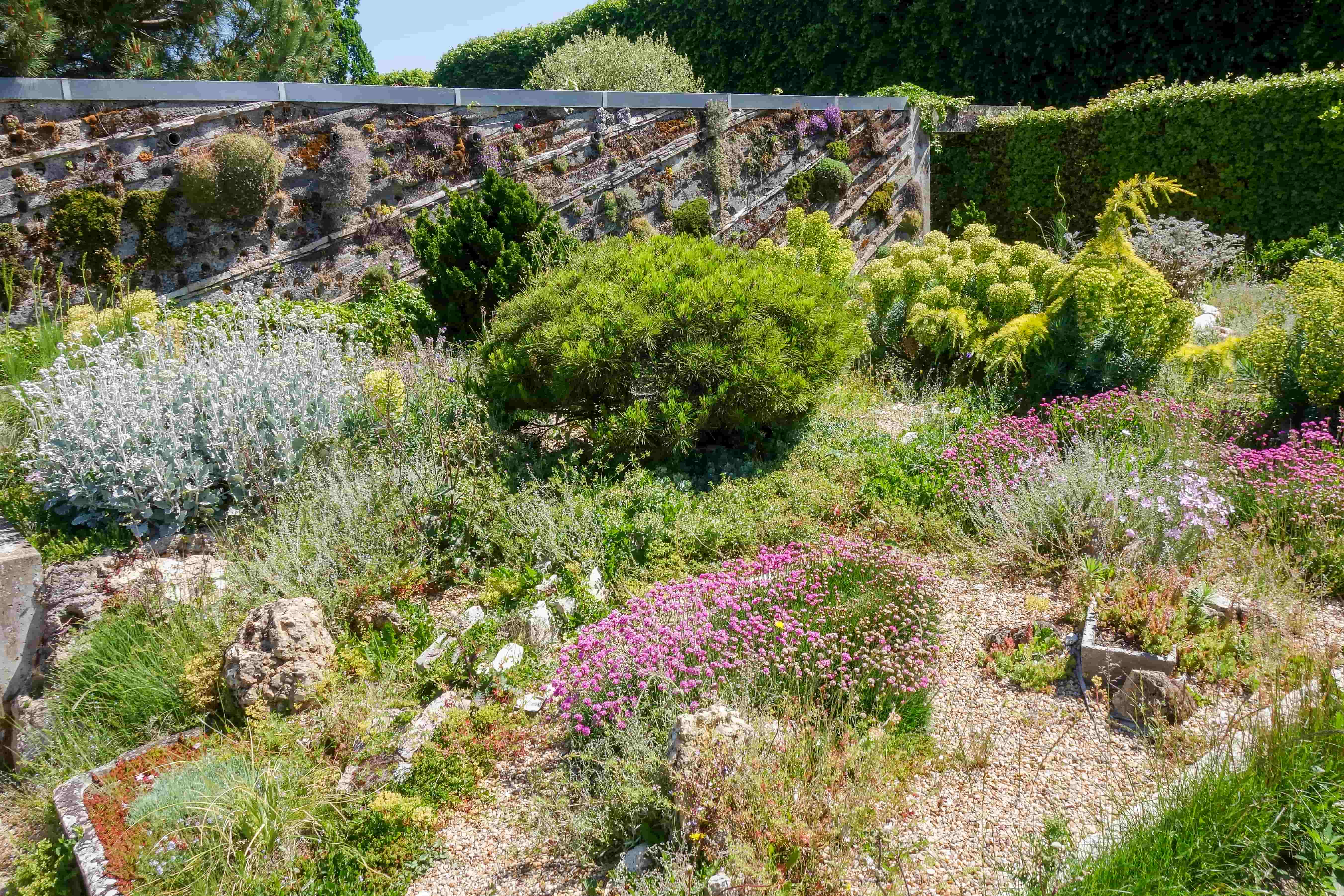 jardin des plantes orleans