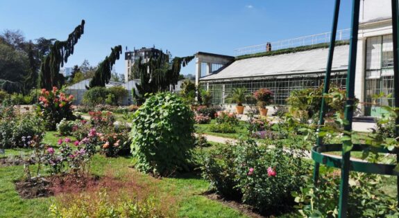 jardin des plantes orleans