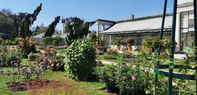 jardin des plantes orleans