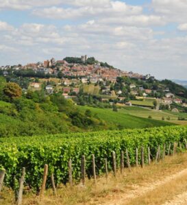 Sancerre