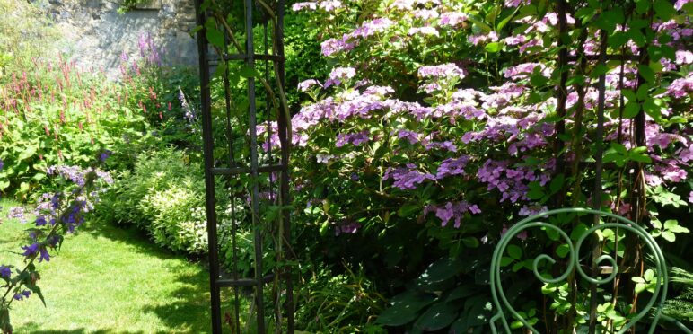 Le jardin de Ginette