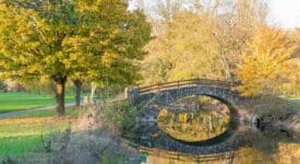 Parc de Belle-Isle à Châteauroux