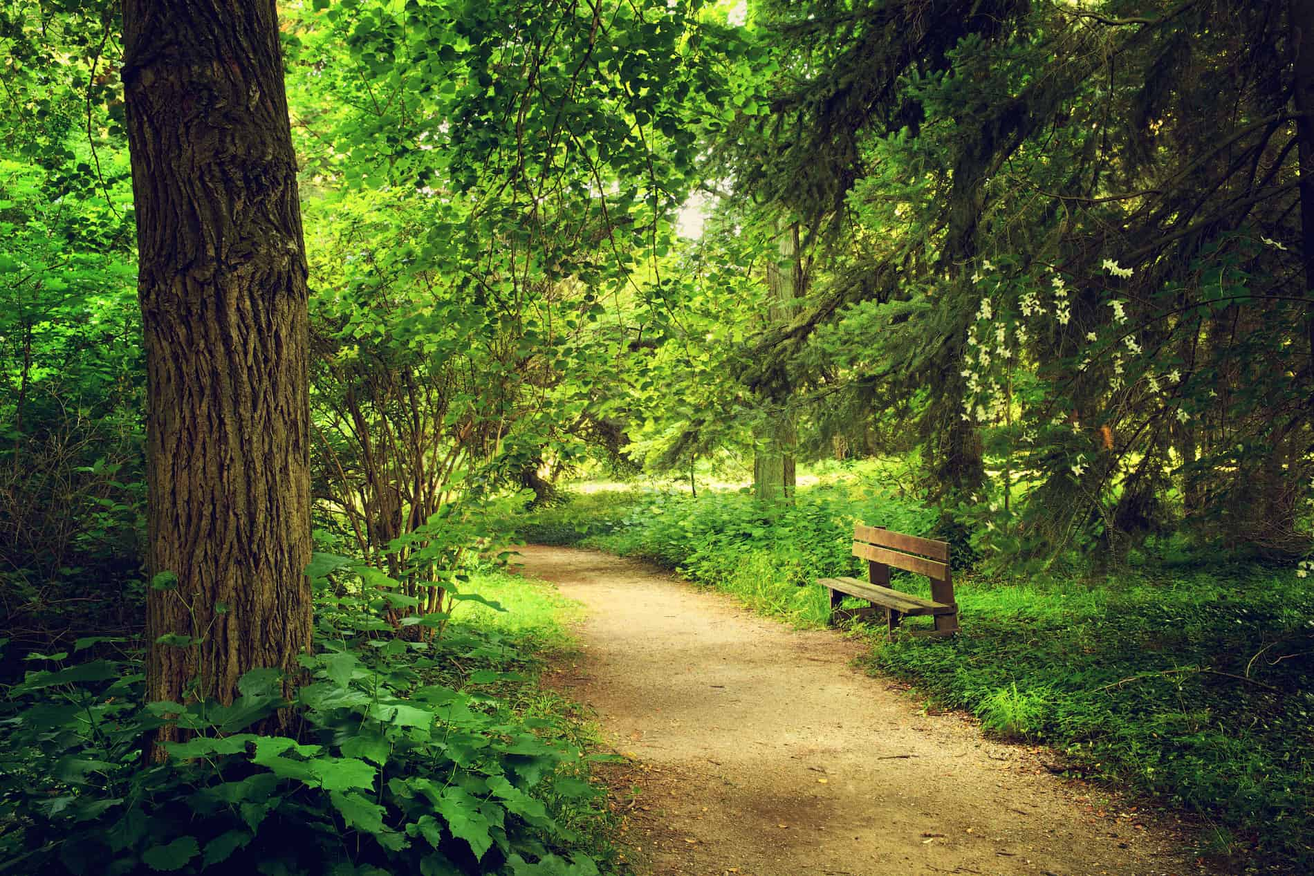 les parcs et jardins à Nevers