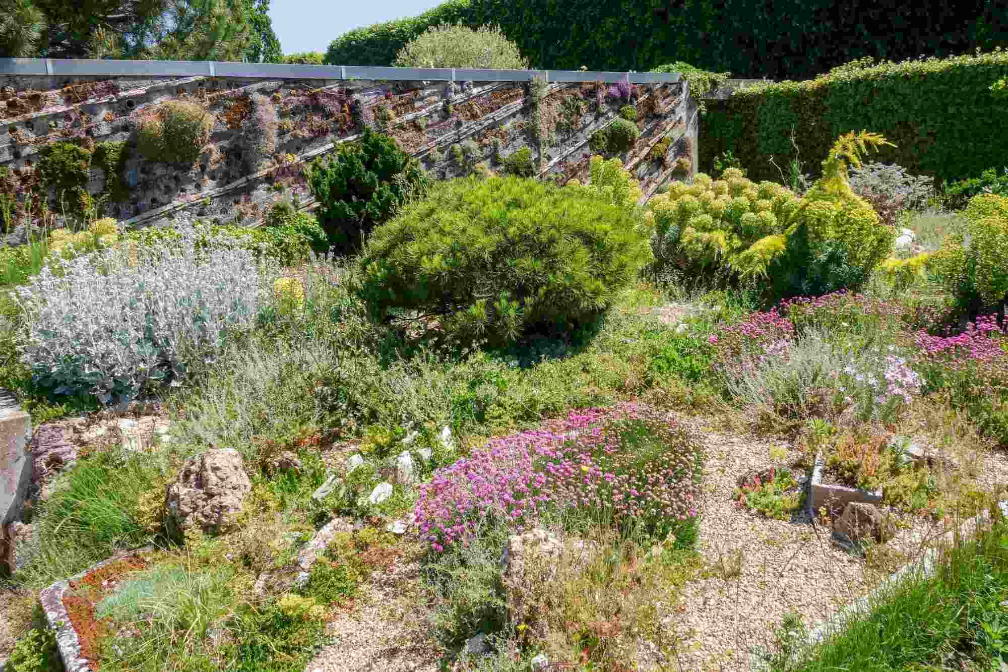 Jardin des plantes d'Orléans