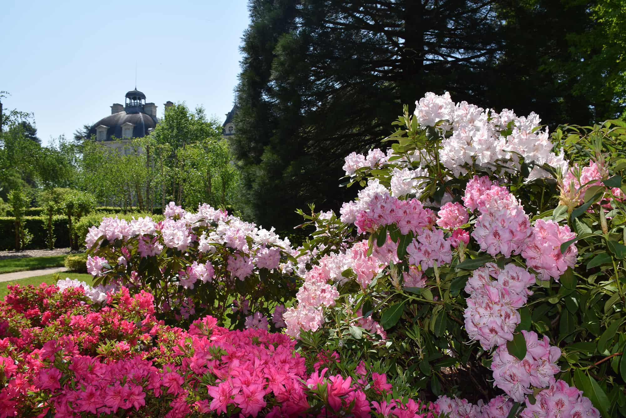 Château de Cheverny