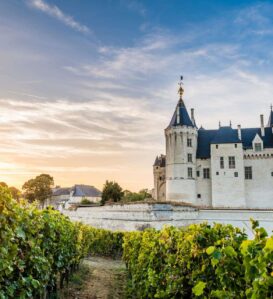 Le château de Saumur