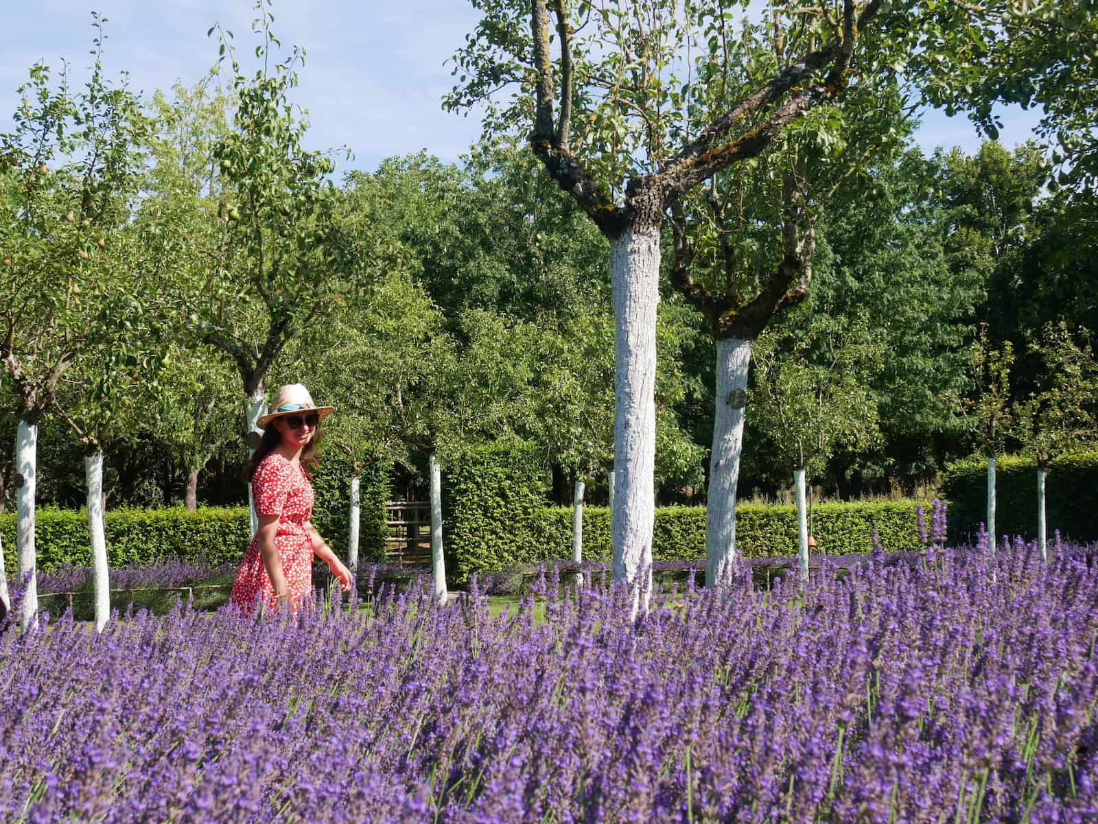 Les jardins du Prieuré d'Orsan