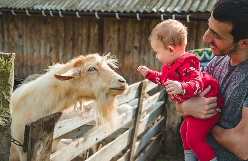 Ferme pédagogique