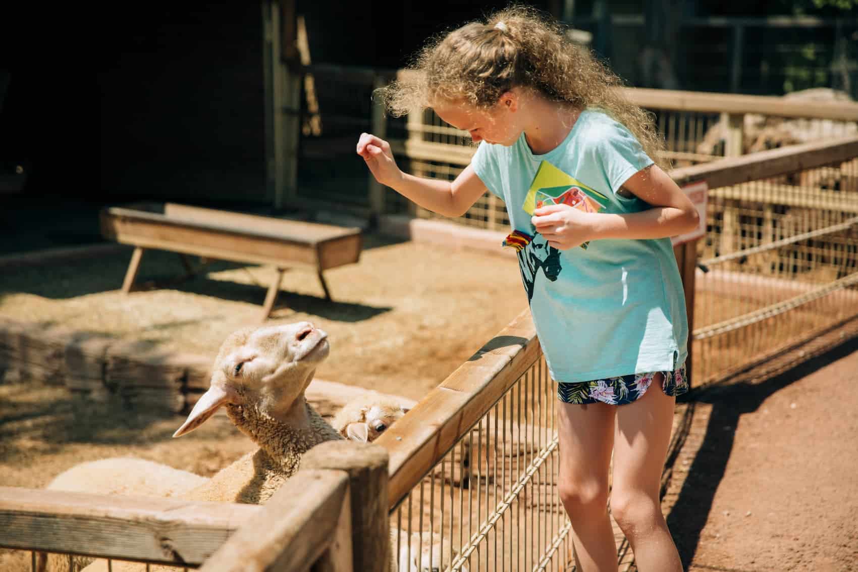 Ferme pédagogique