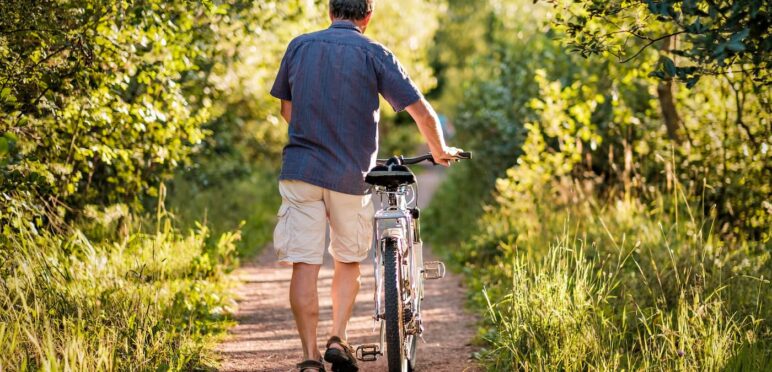 Vélo forêt