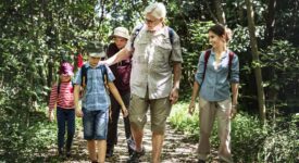 forêt en famille