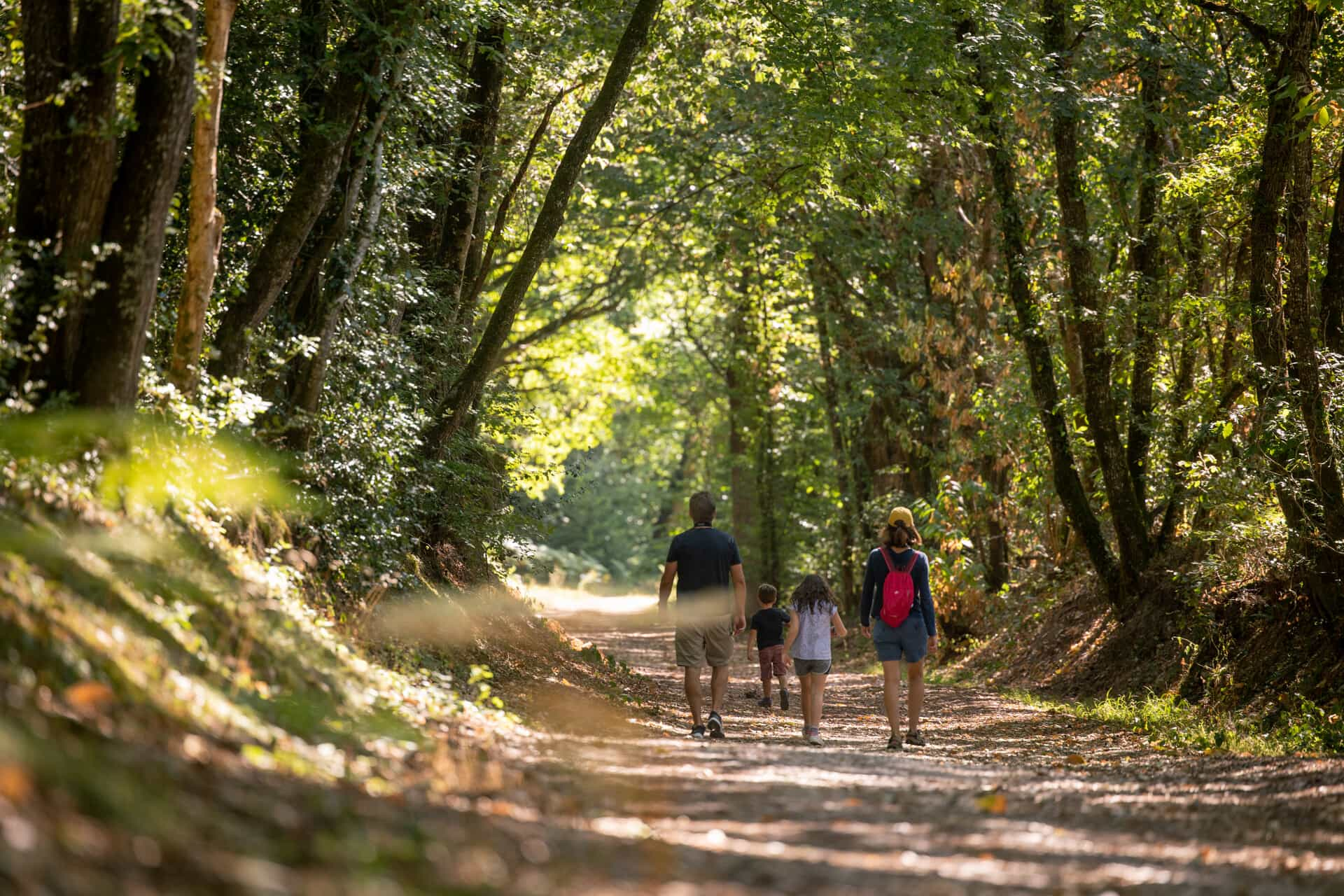 Forêts en Maine-et-Loire