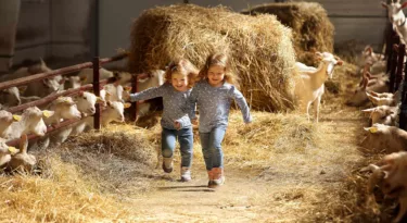 ferme du colombier nièvre