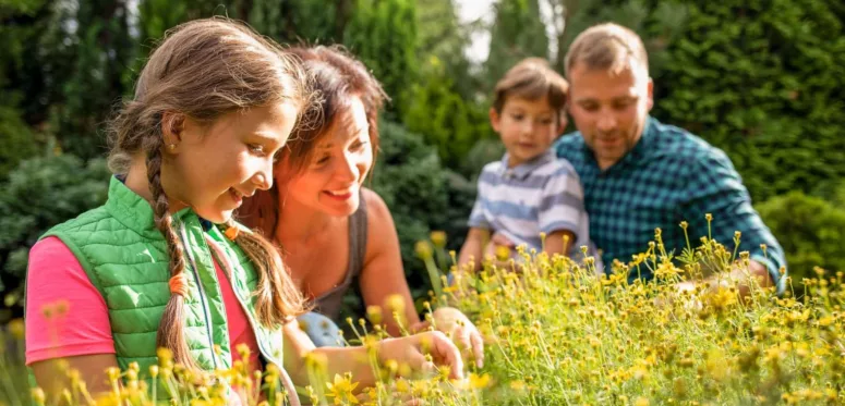 rendez-vous aux jardins 2023