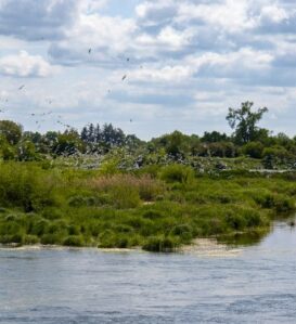 Les Rives de Beaugency