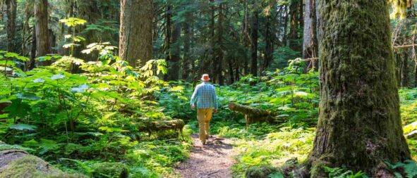 sortie nature dans le loiret