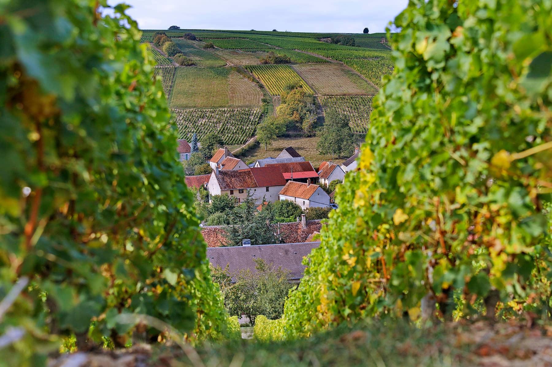 Sancerre Loire Nature Découverte