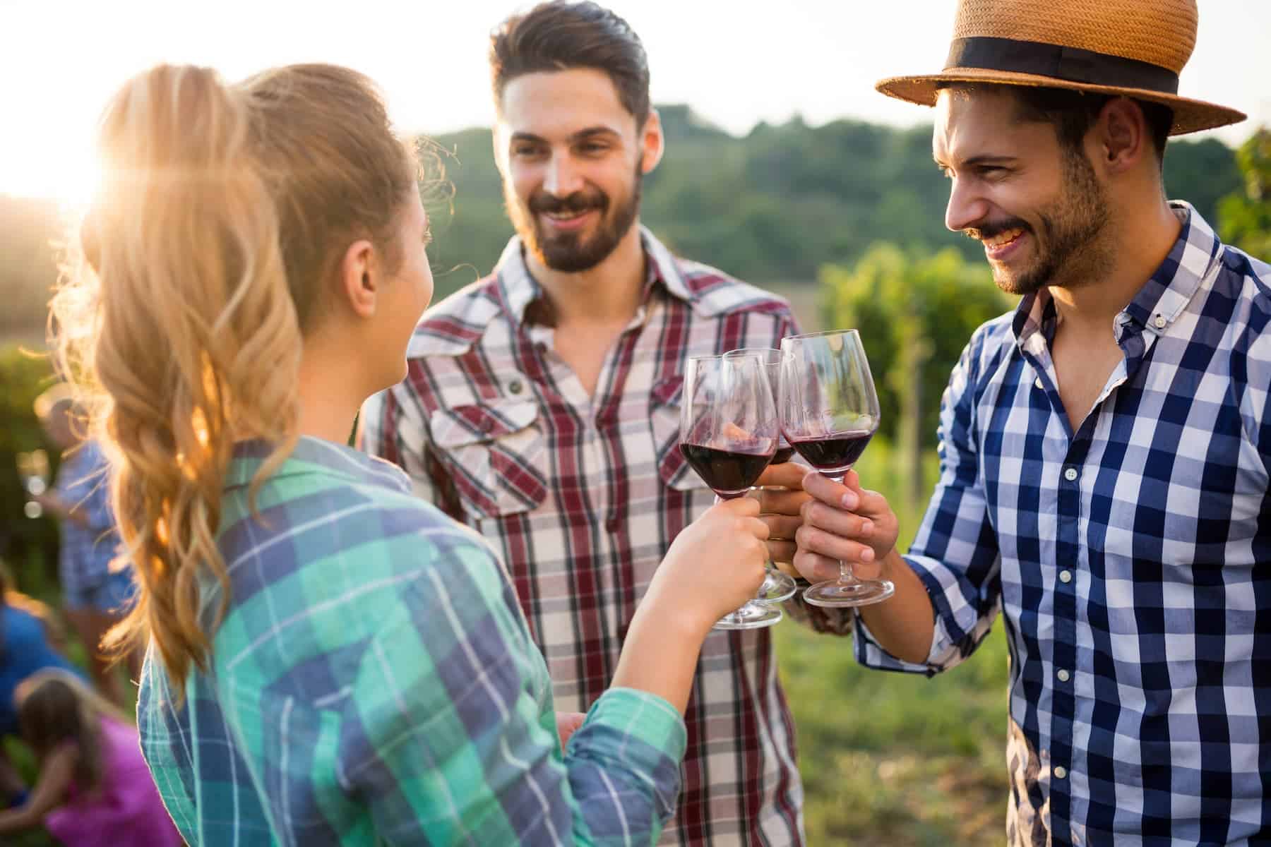 Fête des Vins Touraine