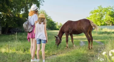 Se régaler dans le Poitou