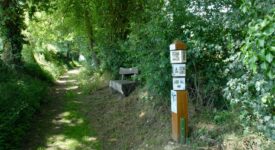 sentier ludique Herbes folles et légumes sages