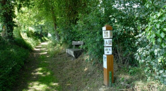 sentier ludique Herbes folles et légumes sages