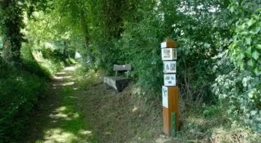 sentier ludique Herbes folles et légumes sages