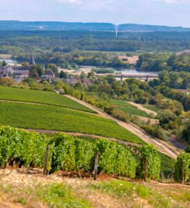 pouilly sur loire