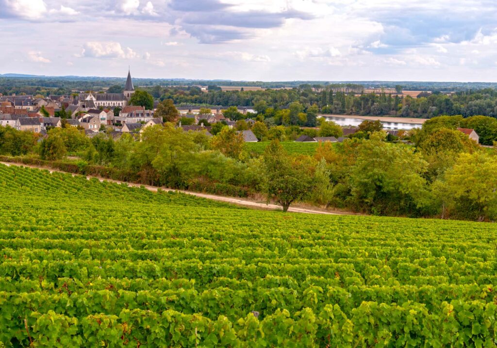 pouilly sur loire