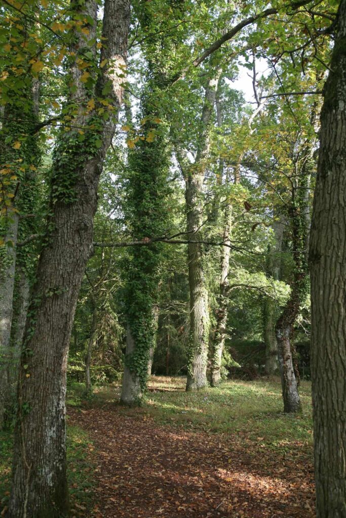 L’Arboretum des Barres