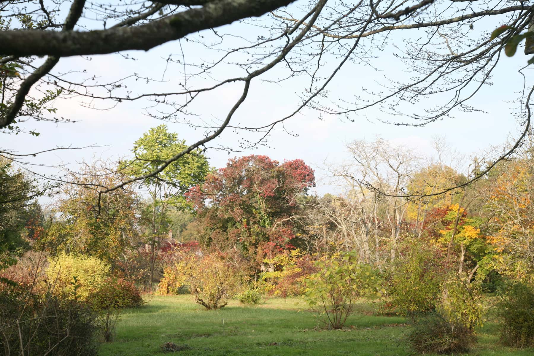 L'Arboretum des Barres