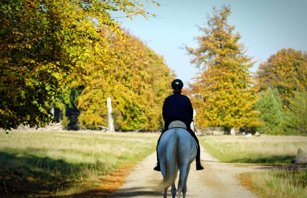 Haras de Tigran