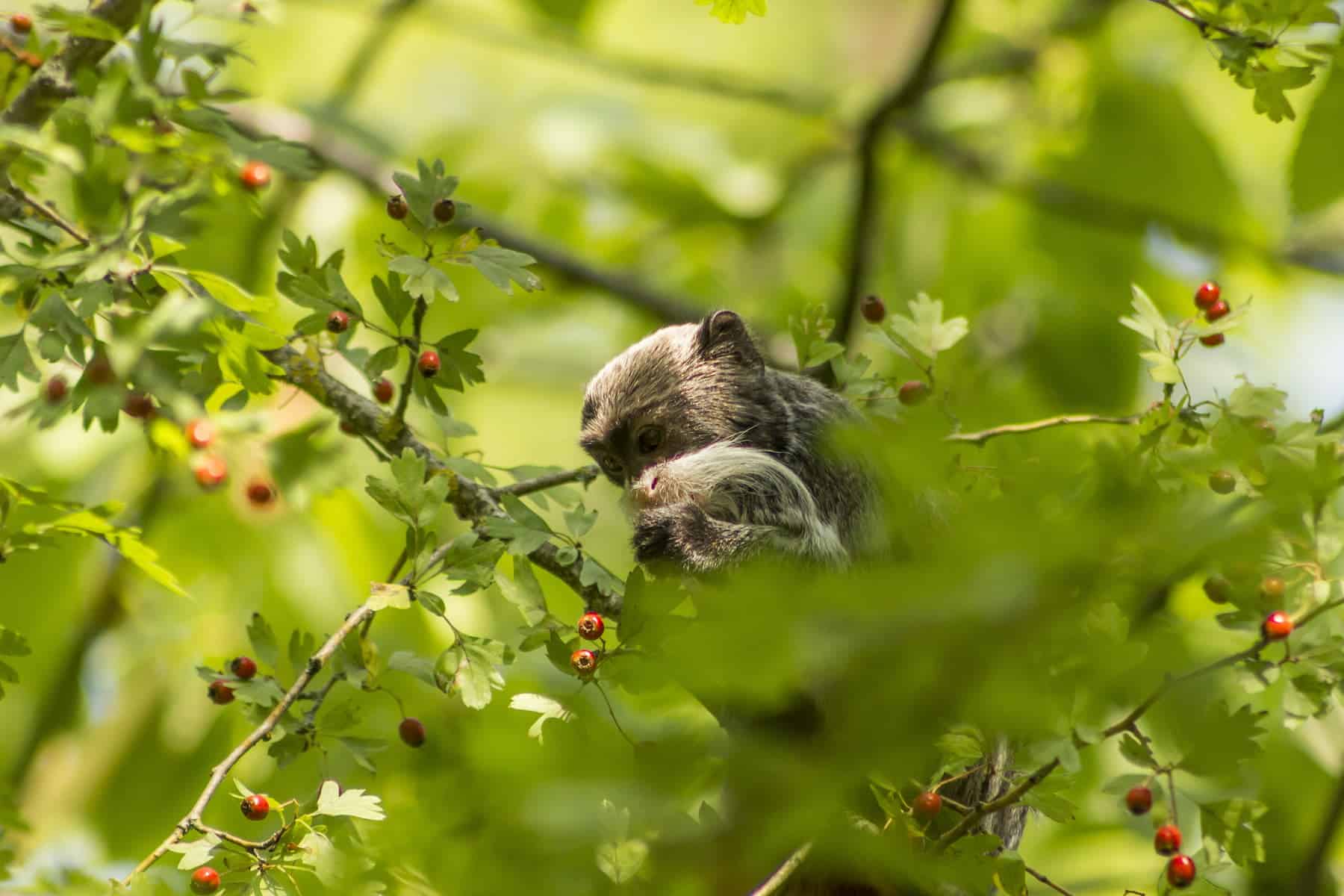 Cet été, explorez la Touraine et la Vienne en famille