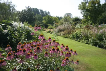 marche-aux-plantes-et-produits-du-terroir-jardin-plessis-sasnieres