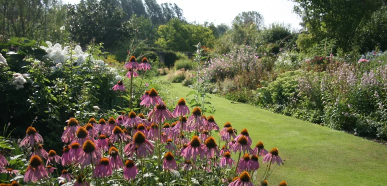 marche-aux-plantes-et-produits-du-terroir-jardin-plessis-sasnieres