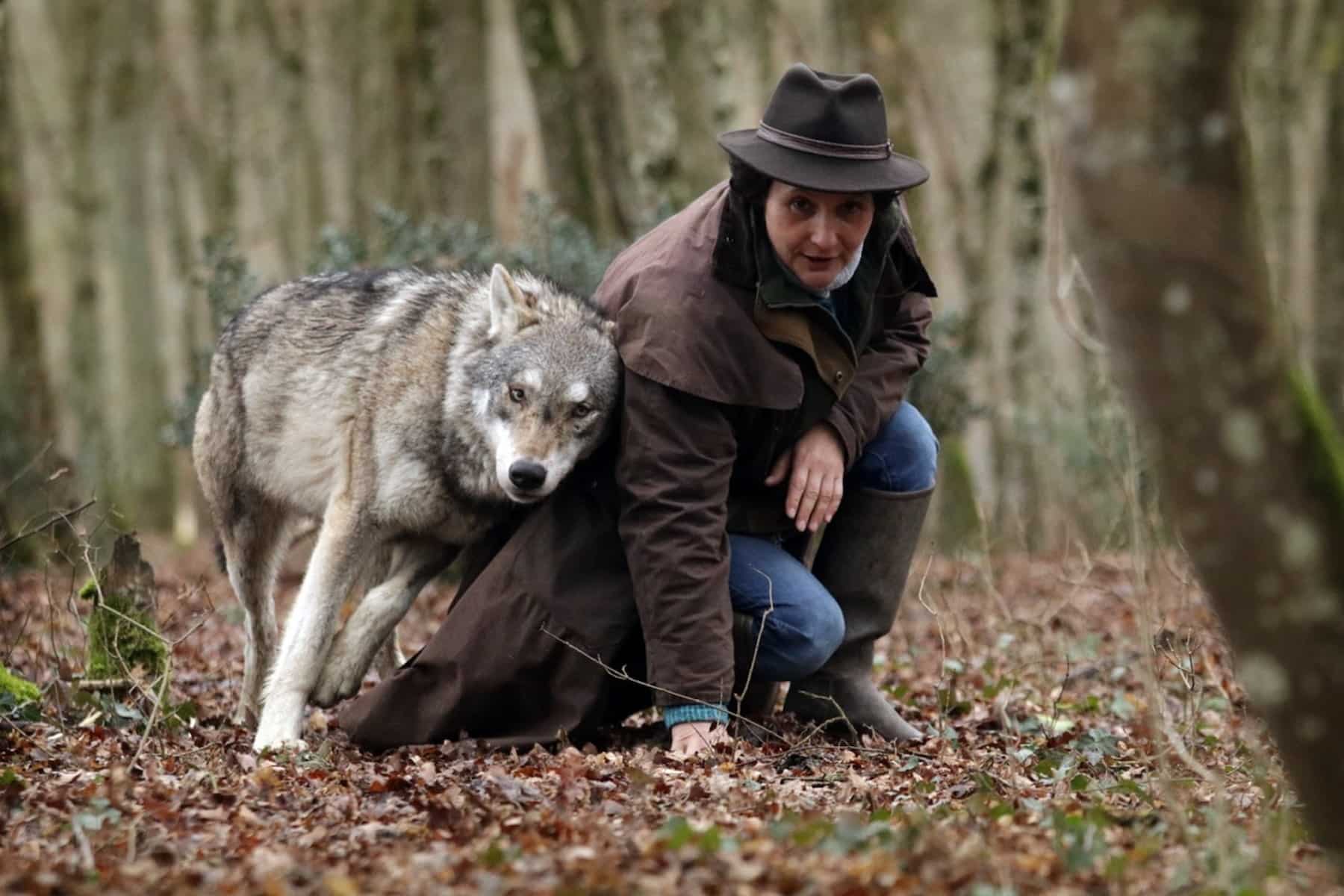 Rendez-vous en Terre Animale