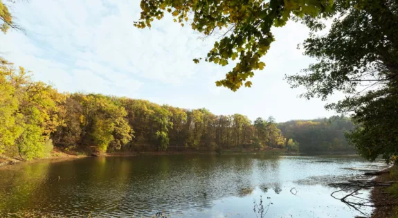 Restaurants en bord de Loire pour tous les budgets