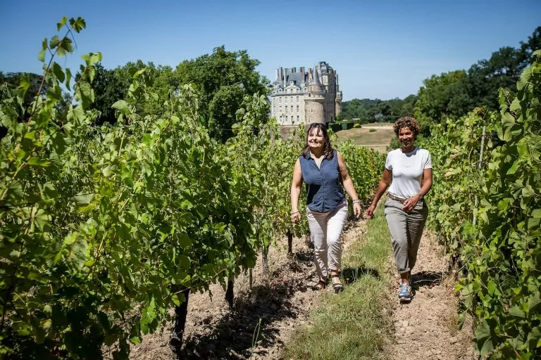 chateau-de-brissac