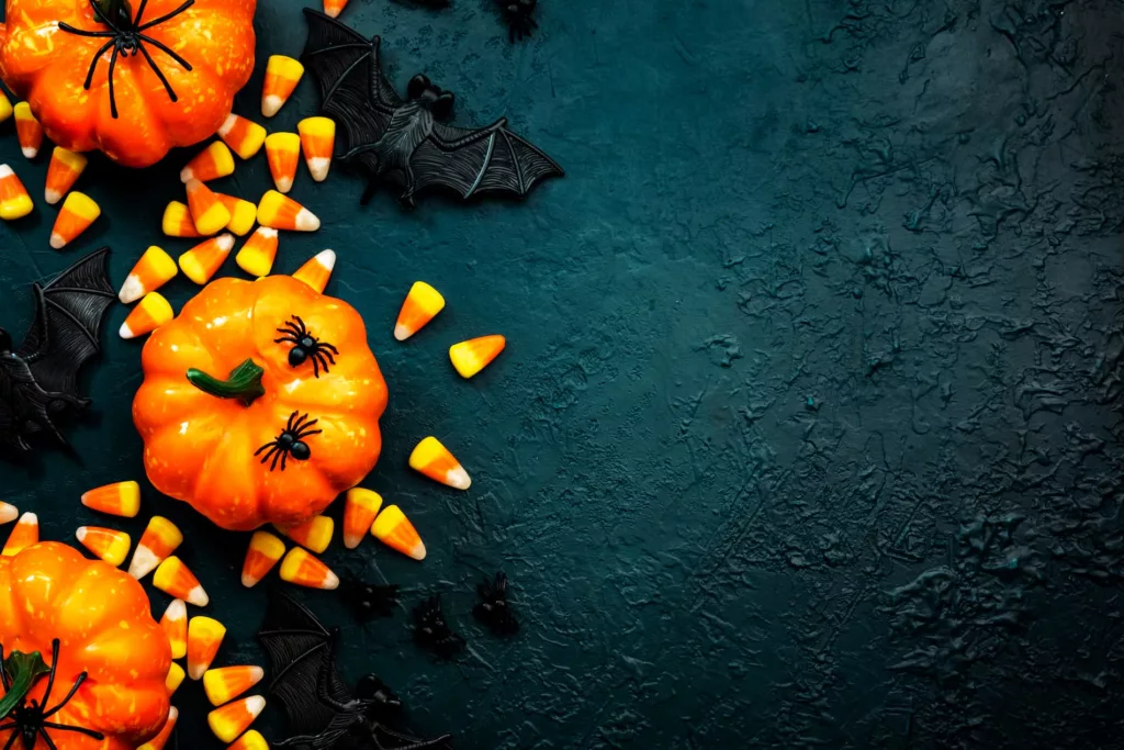 Photo de citrouilles
Halloween dans la vallée de la Loire 2024