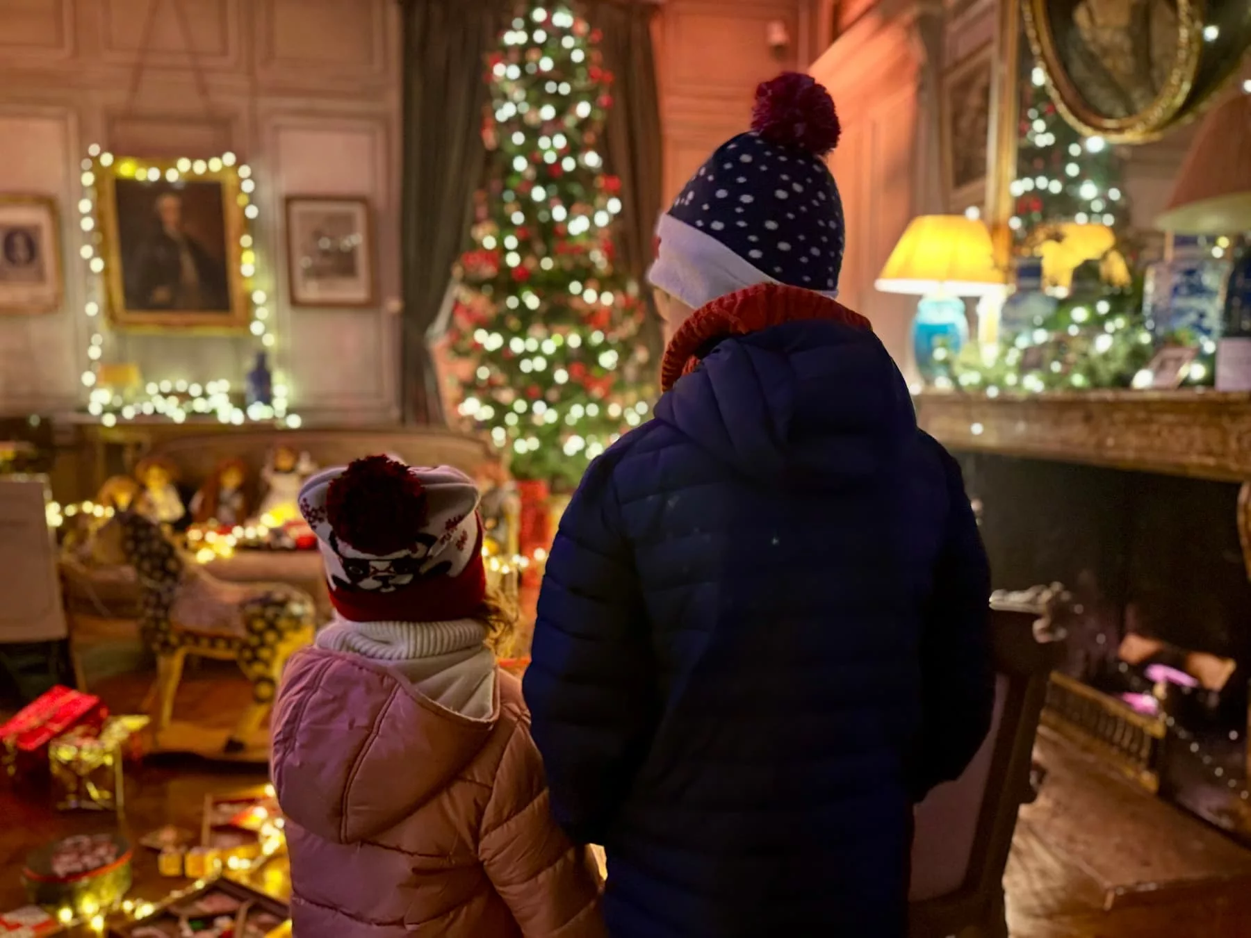 Noël au château de la Ferté Saint Aubin