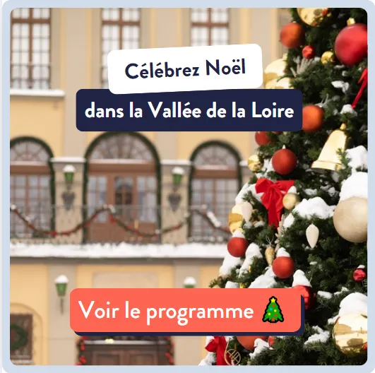 encart pub Noël 2024 en Vallée de la Loire